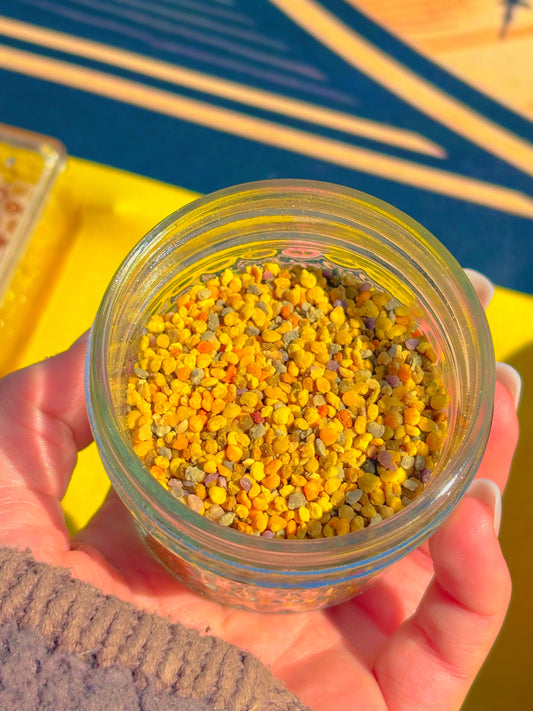 Raw Bee Pollen (4oz)